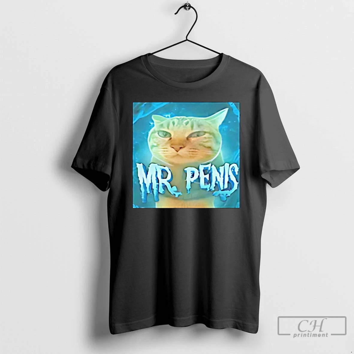 Classic Mr Penis Cat Meme Christmas