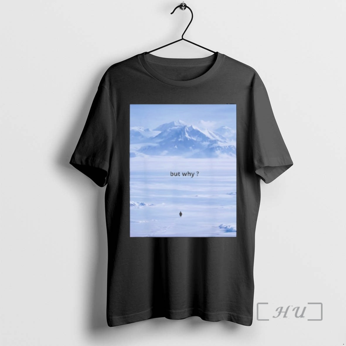 Officials Penguin But Why Meme Head Towards The Mountains Motivational