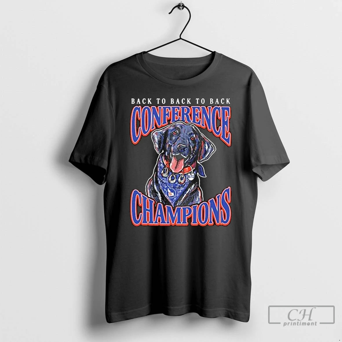 Classic Boise State Broncos Back To Back To Back Conference Champions Blitz T Shirts Sweater