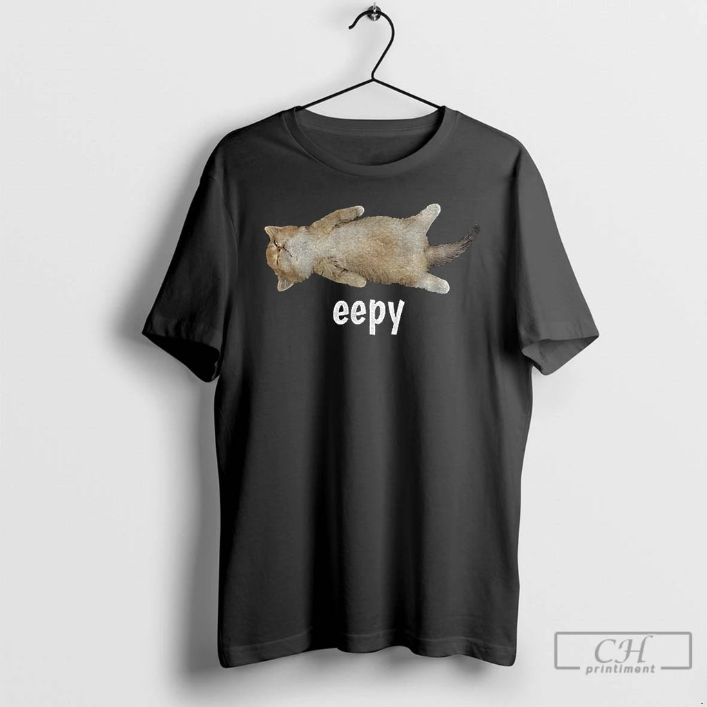 Classic Eepy Cat Silly Sleepy Cat Meme