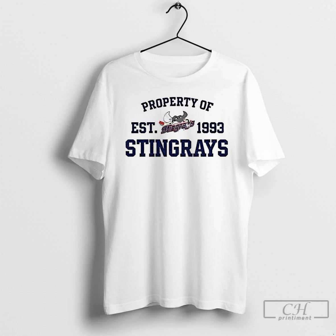 Classic Property Of Stingrays Est 1993 Logo Vintage