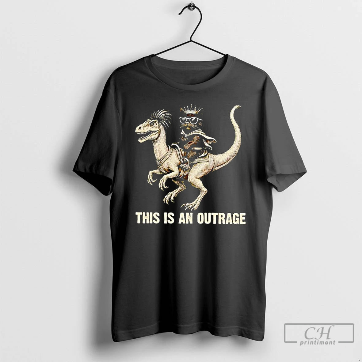 Classic This Is An Outrage For Cat Lover