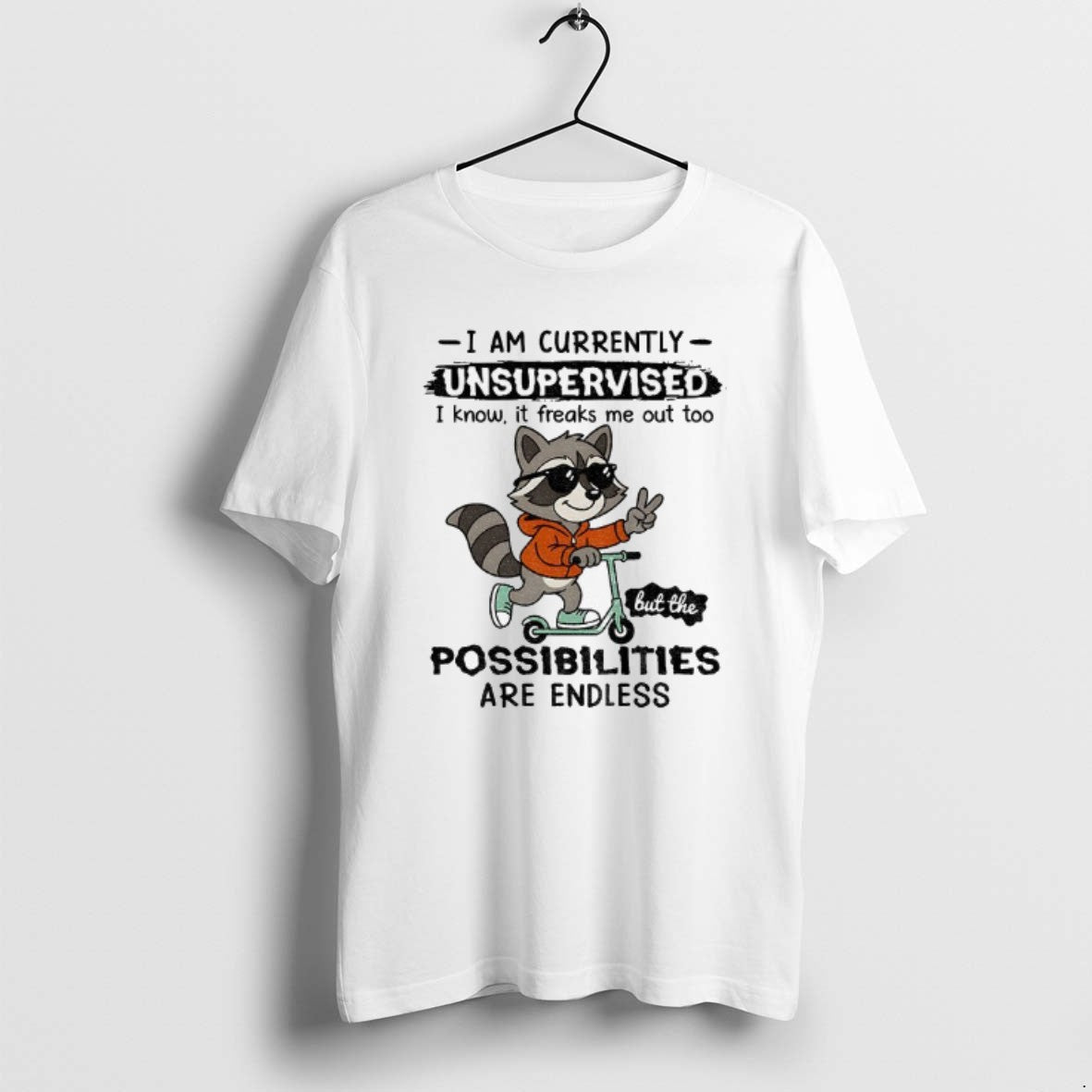 Official Raccoon I Am Currently Unsupervised I Know It Freaks Me Out Too Possibilities Are