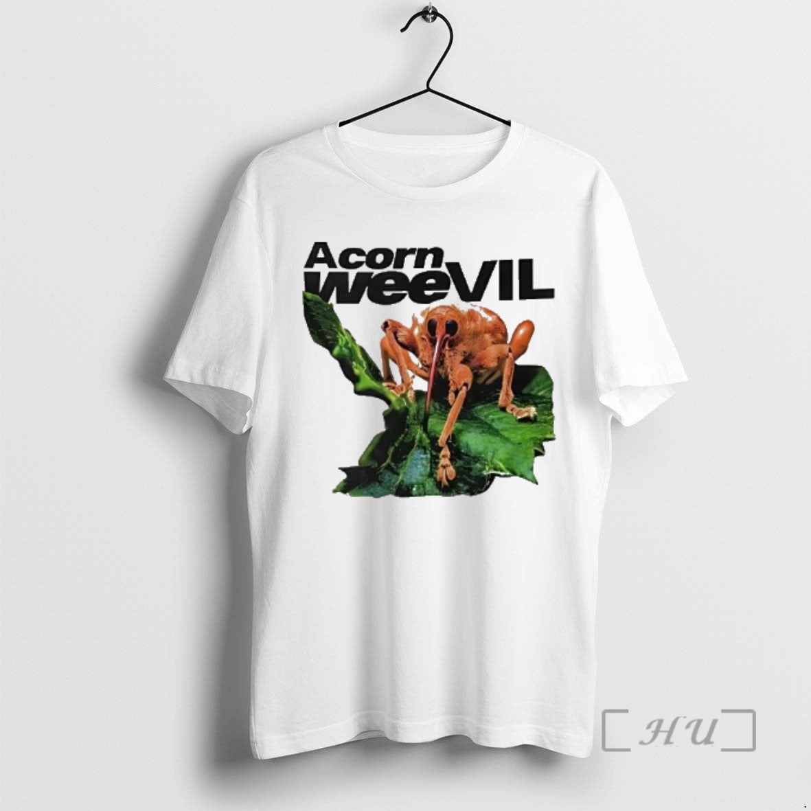 Officials Acorn Weevil Stare