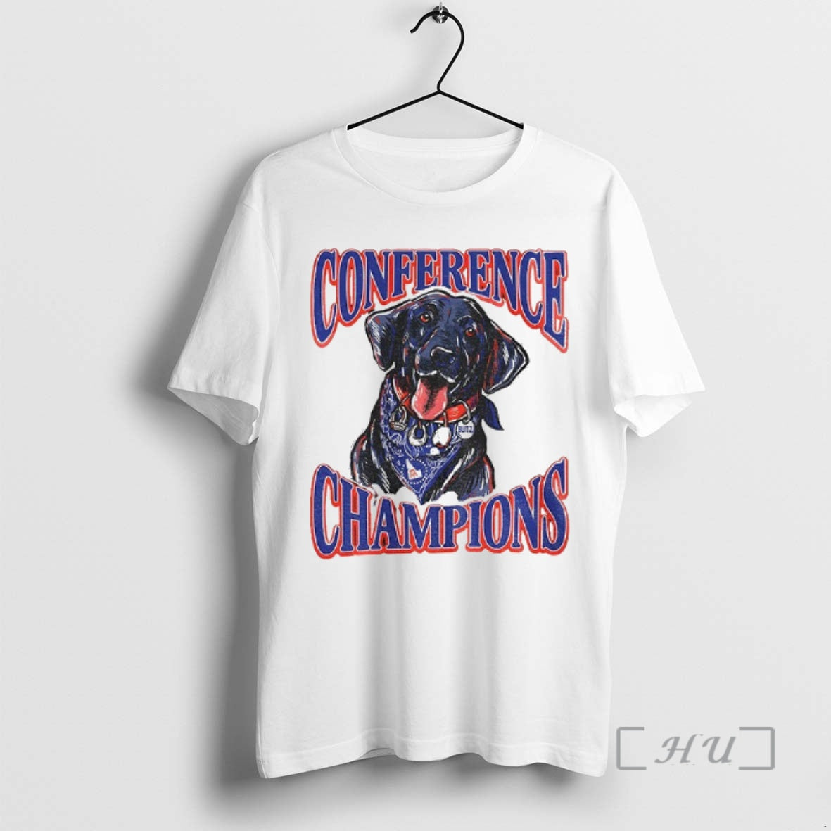 Officials Boise State Broncos Back To Back Conference Champions Blitz