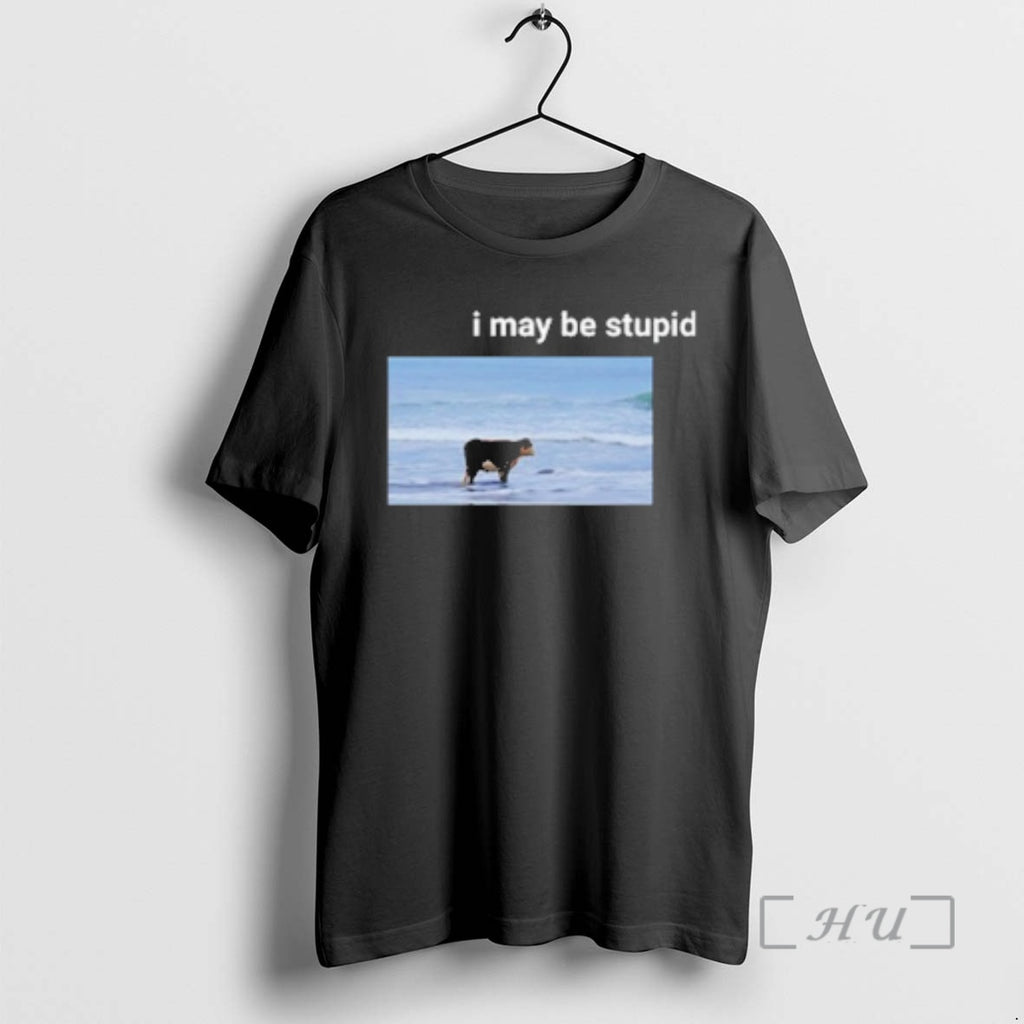 Officials I May Be Stupid Cow On Beach Meme