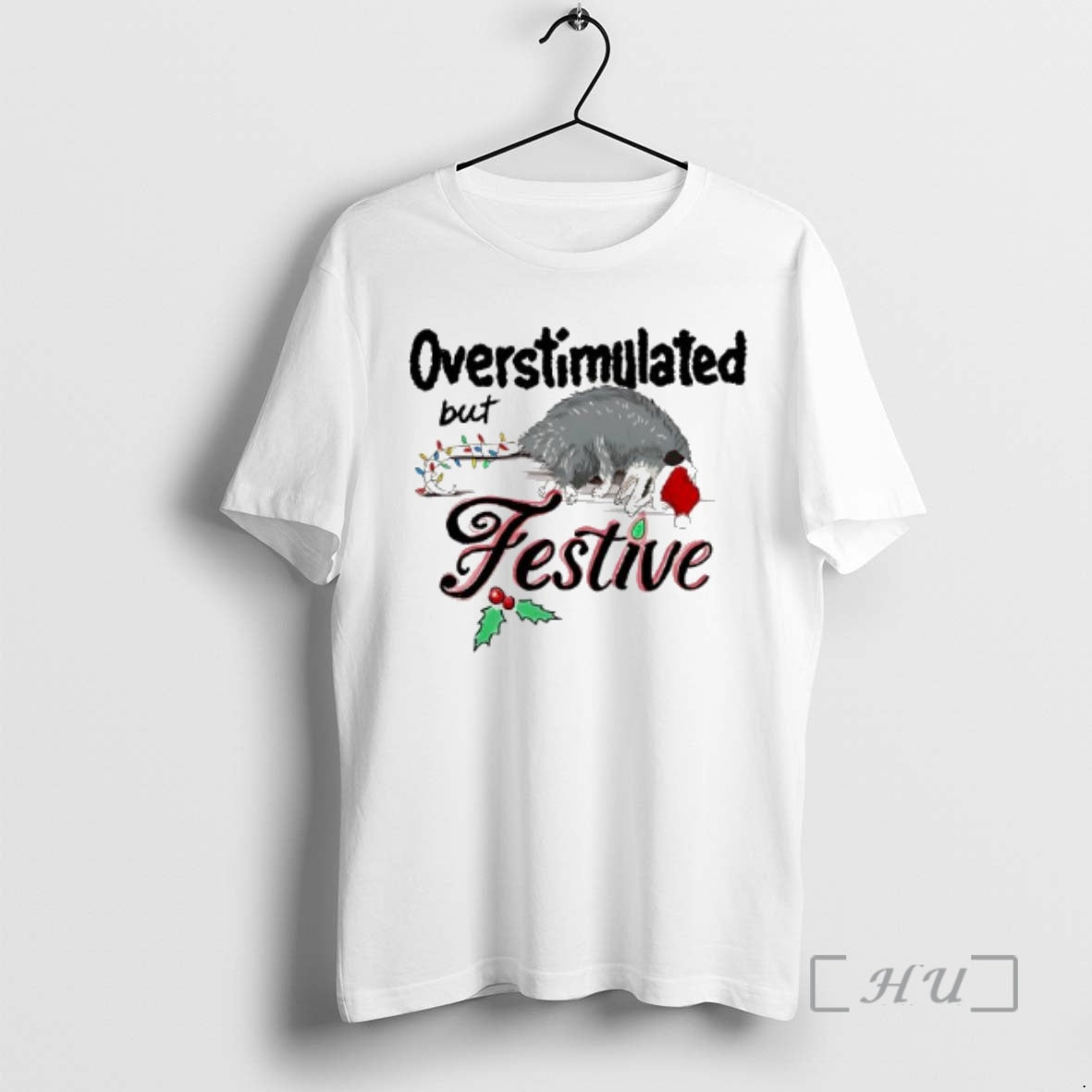 Officials Overstimulated But Festive Christmas Lights