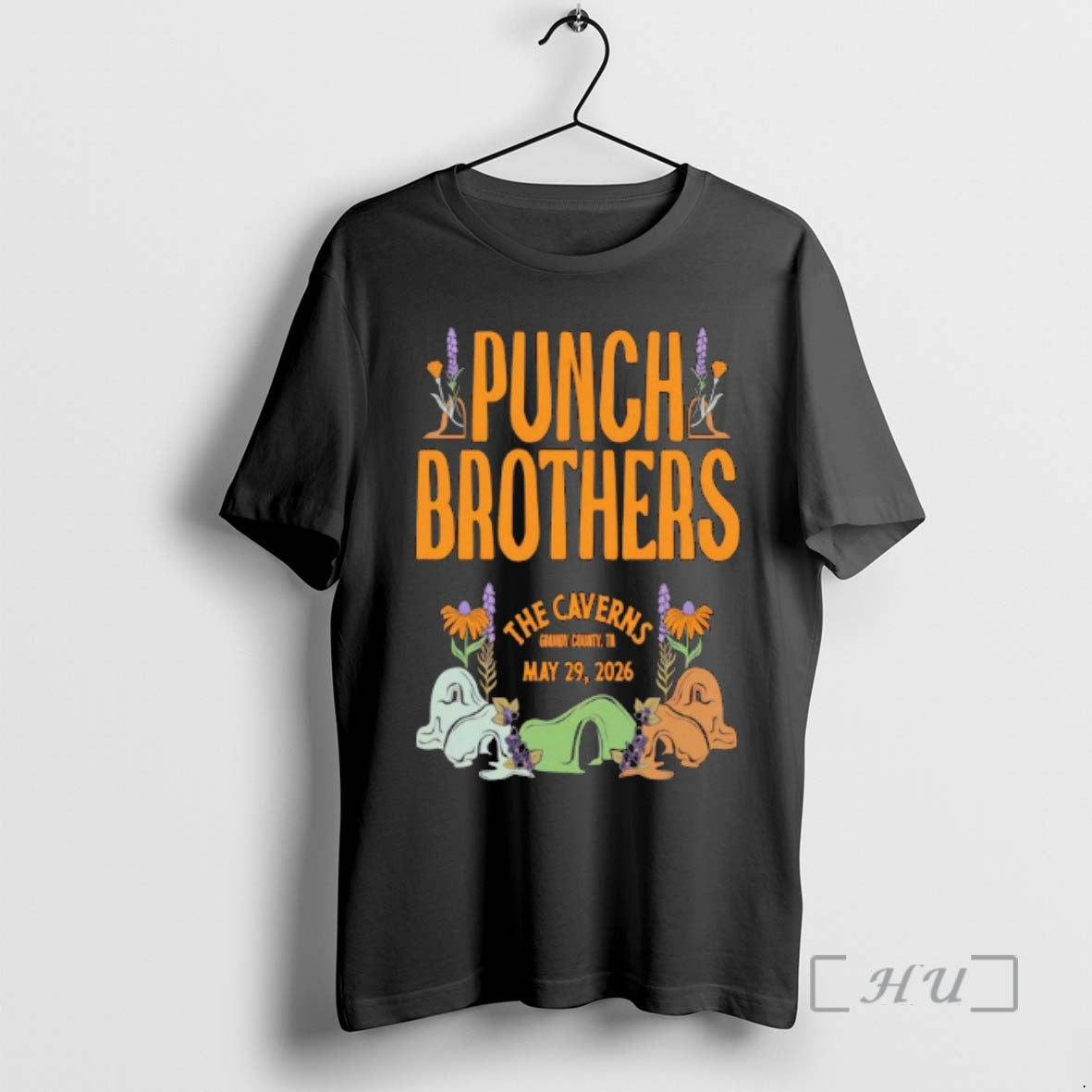 Officials Punch Brothers May 29 2026 The Caverns Pelham Tn